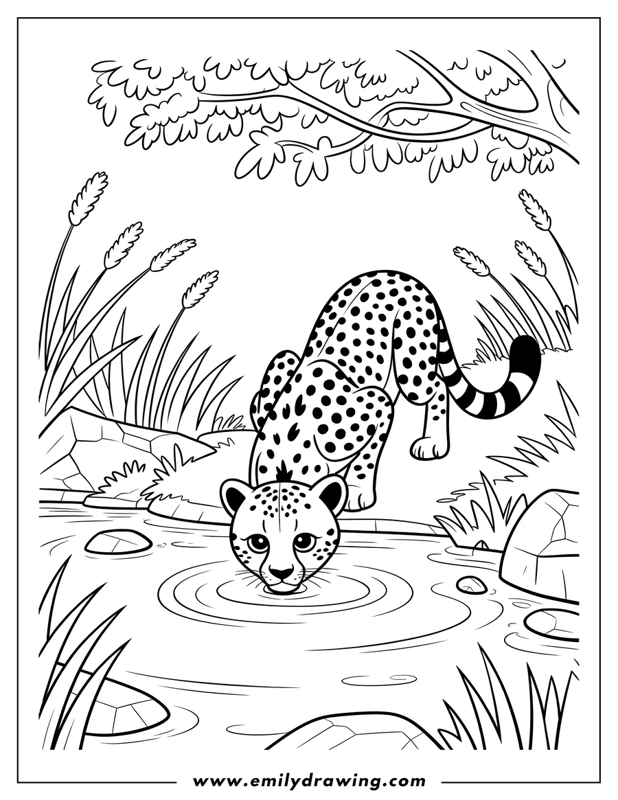 Line art of a jaguar drinking water from a pond.  Reeds and rocks surround the pond, and a tree branch hangs overhead.