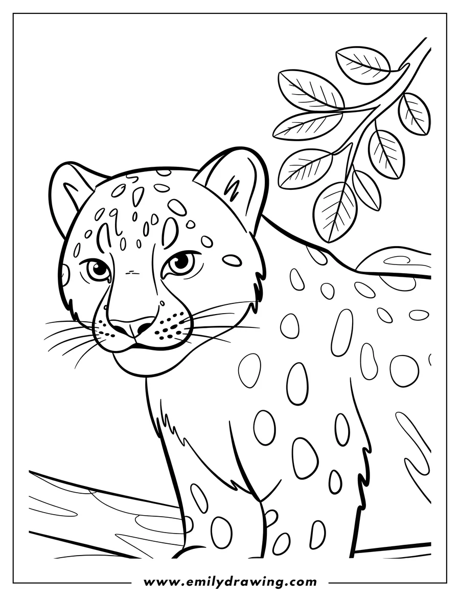 Line drawing of a jaguar resting on a tree branch with leaves. 