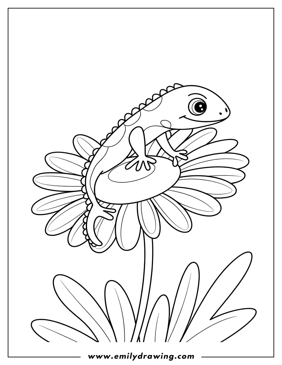 Outline of a lizard sitting on a daisy flower.