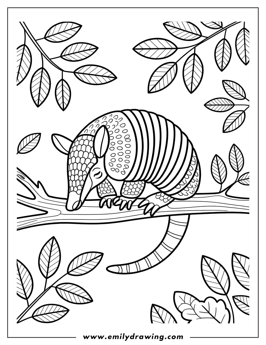 Line art of an armadillo on a tree branch, surrounded by leaves.