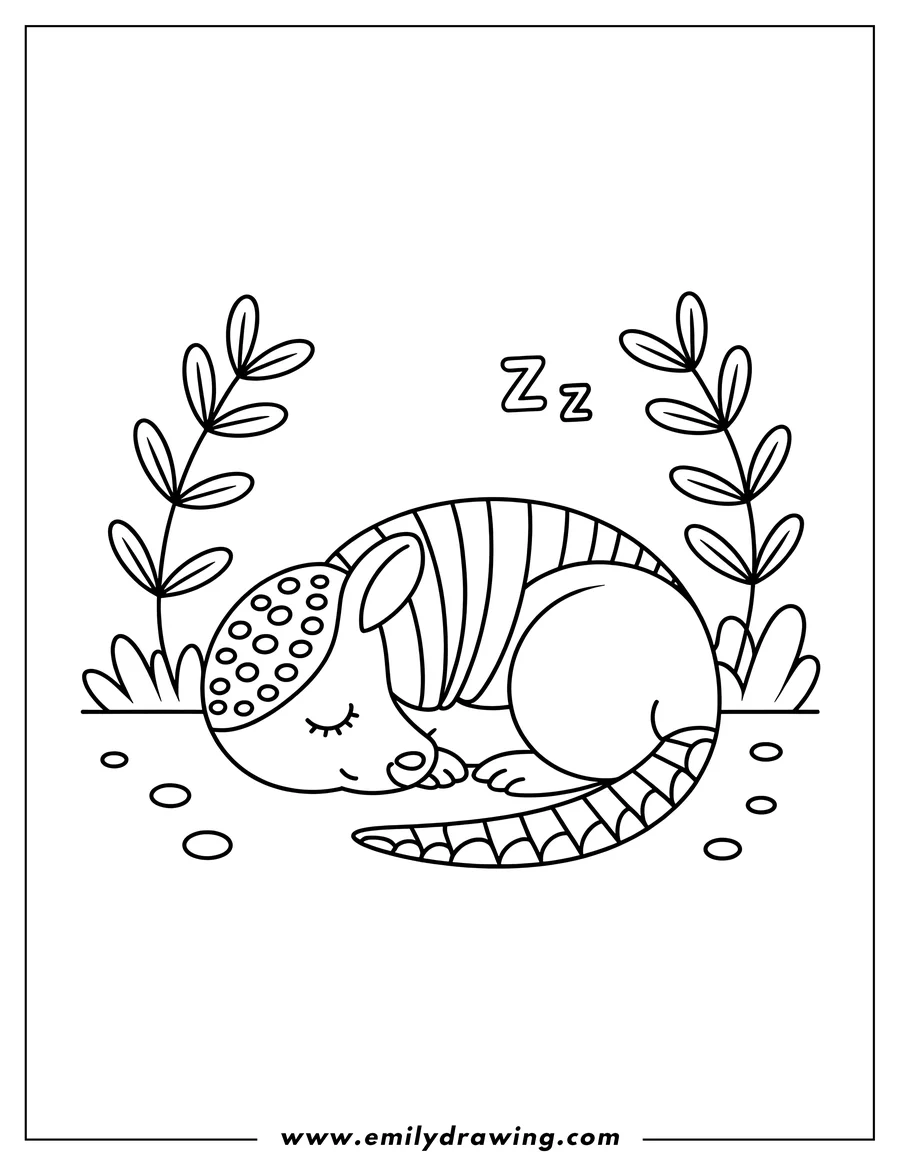 Outline of an armadillo curled up asleep.