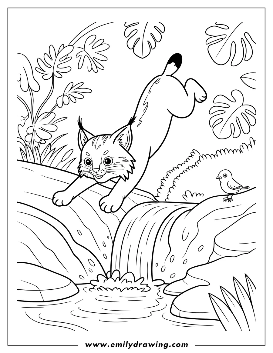 Outline of a bobcat jumping across a small waterfall in a jungle setting. A tiny bird perches on a rock nearby.