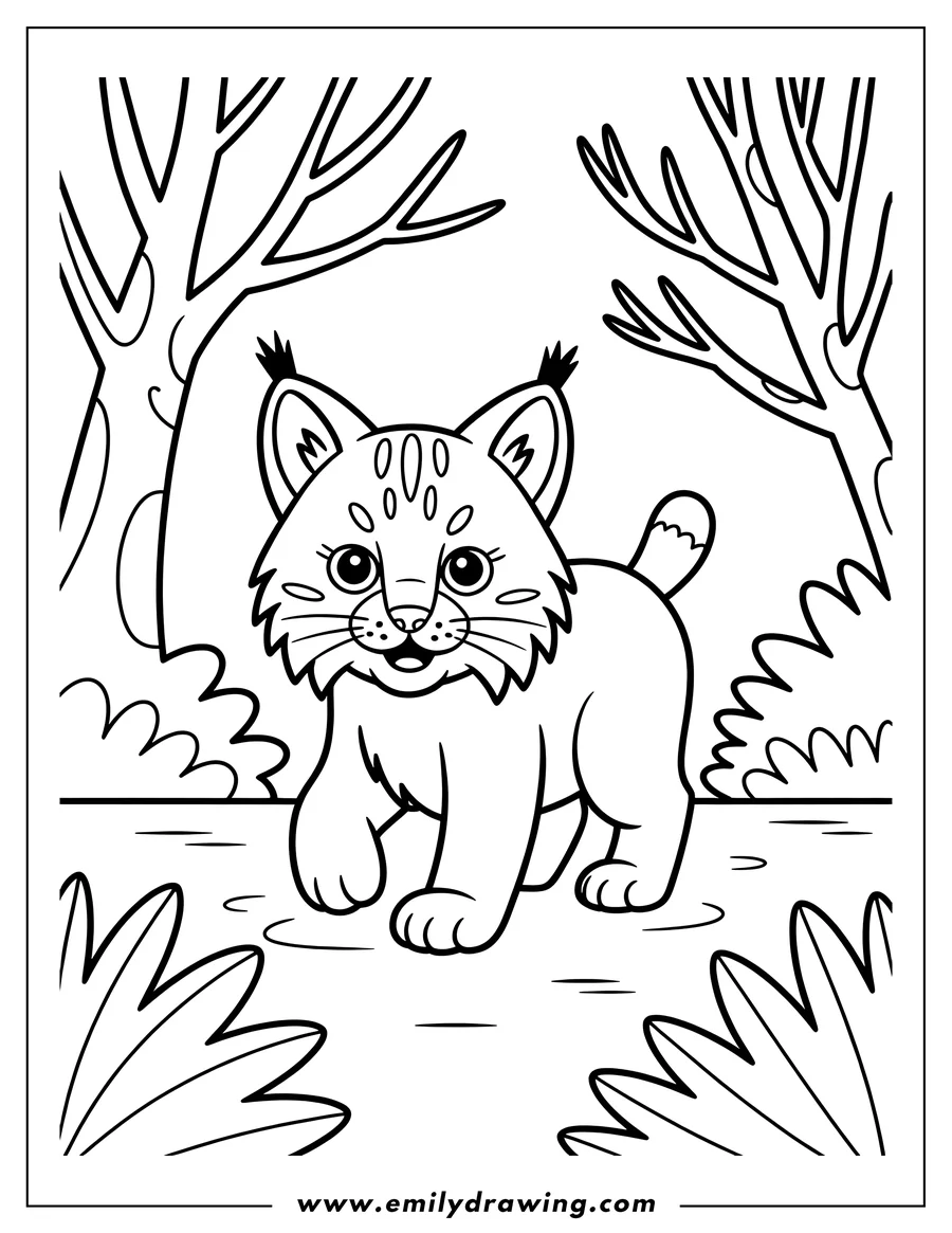 Outline of a young bobcat walking in a forest setting.