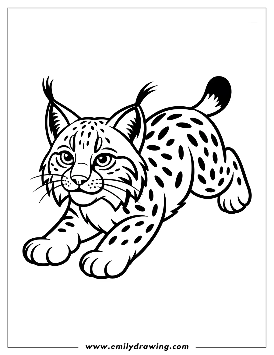 Outline of a bobcat in mid-pounce, ready to spring forward.