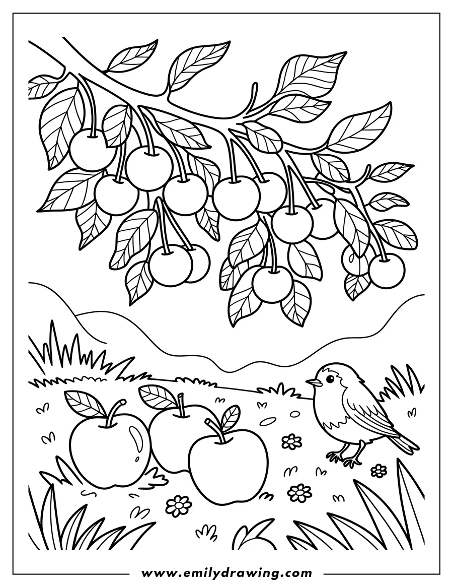 Line art of cherries hanging from a branch, two apples on the ground, and a small bird nearby.