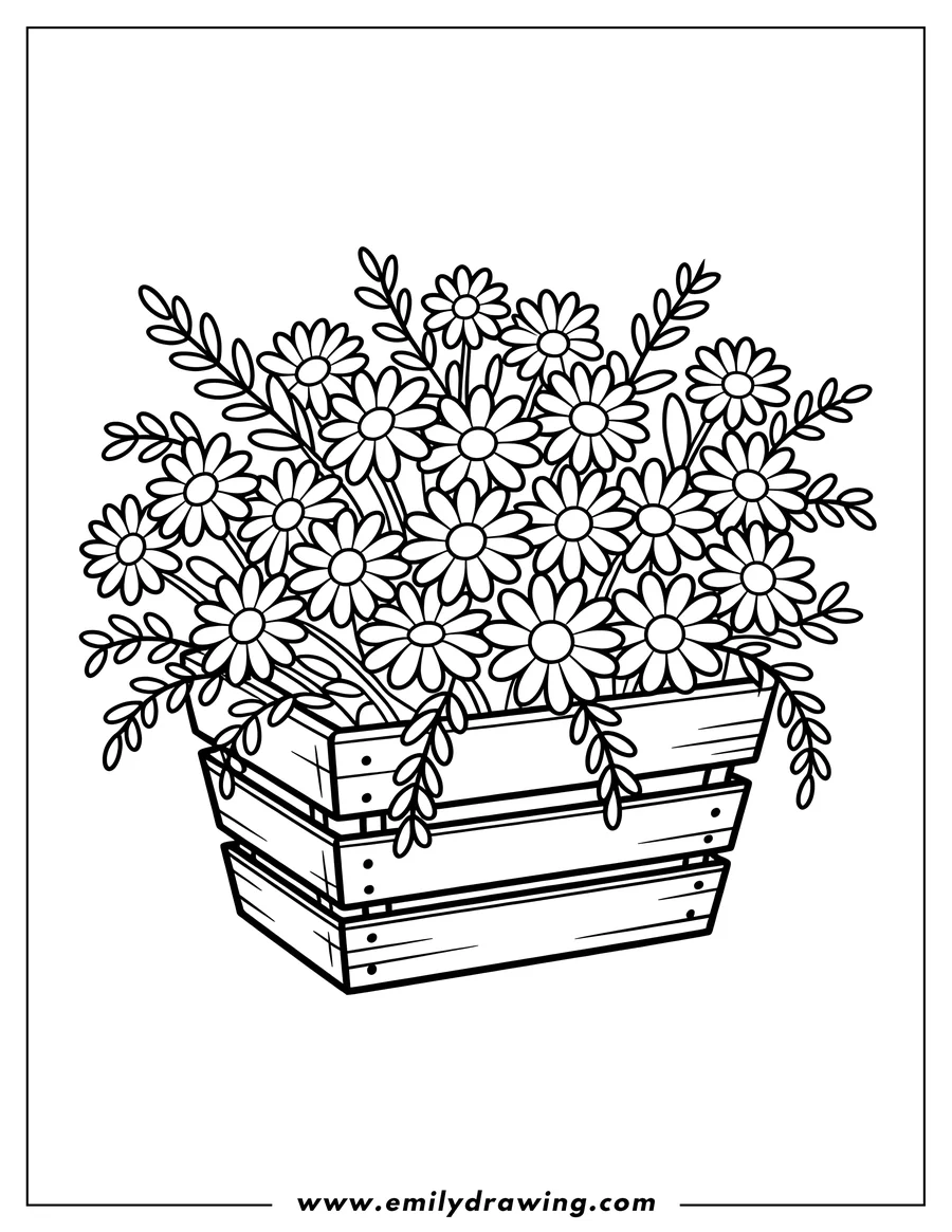 Outline of daisies in a wooden crate. Perfect for flower lovers.