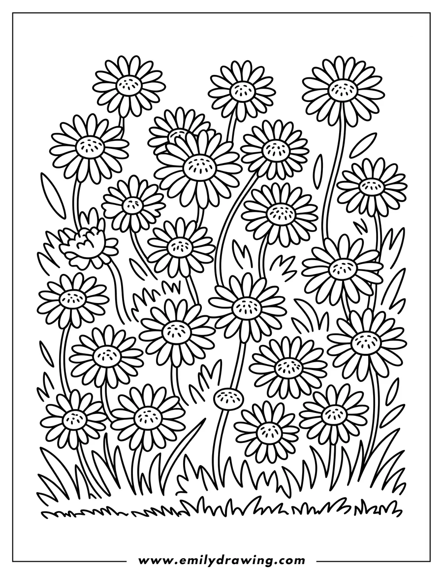 Outline of daisies growing in a patch of grass.