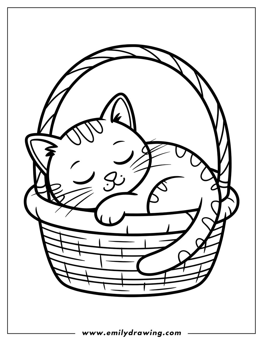 Outline of a kitten napping in a woven basket.