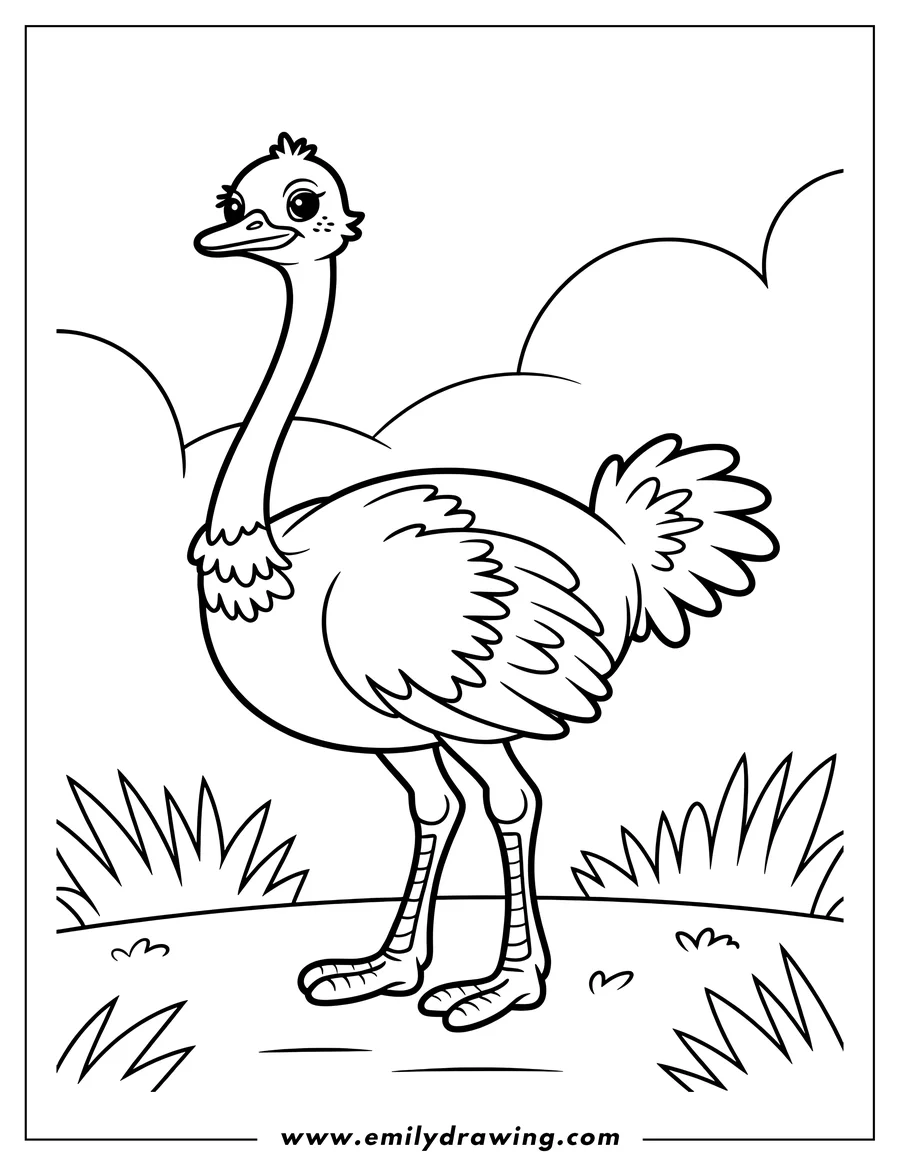 Outline of an ostrich standing in a grassy field. It has a long neck, fluffy body feathers, and strong legs.