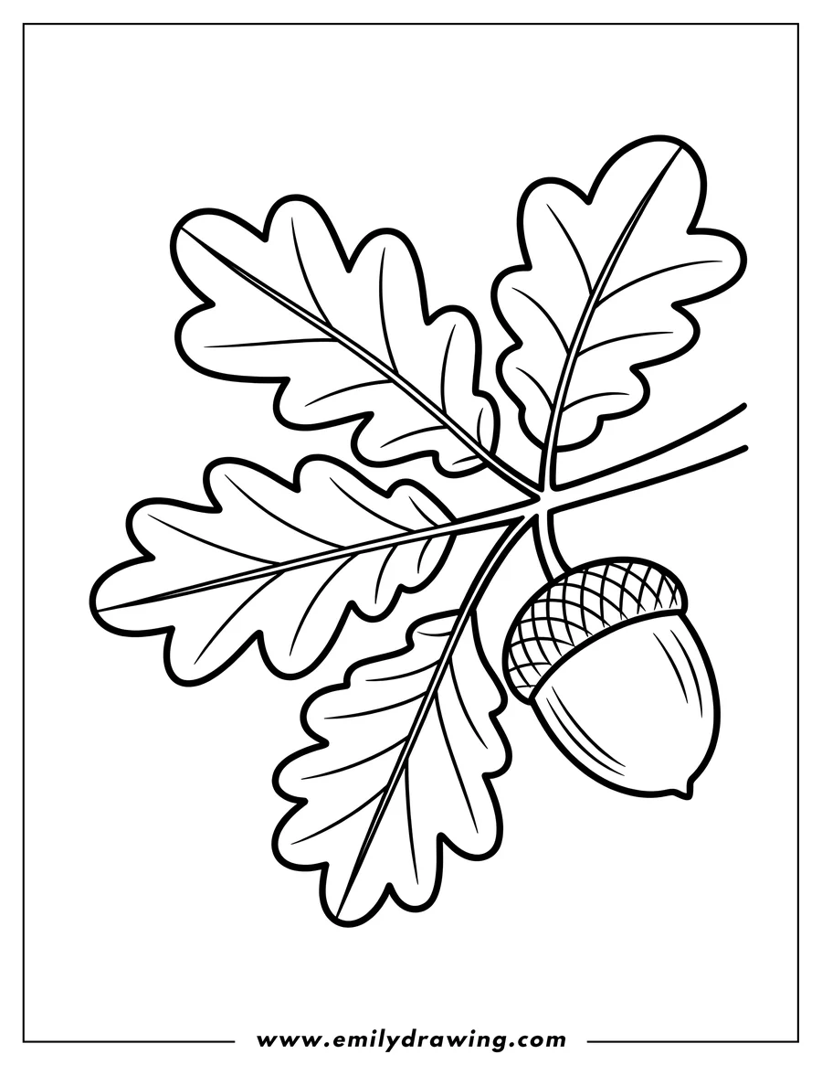 Line art of an acorn hanging from an oak branch with leaves.