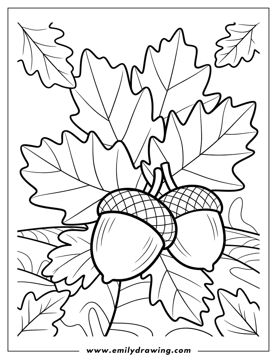 Line art of two acorns nestled among detailed oak leaves, creating a simple autumn scene.