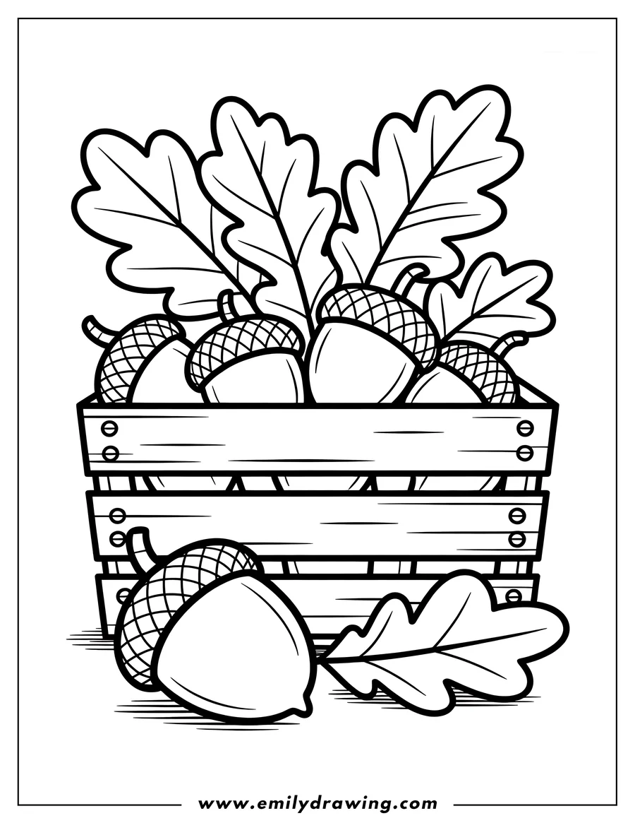 Line art of acorns and oak leaves in a wooden crate. One acorn and an oak leaf sit in front of the crate.