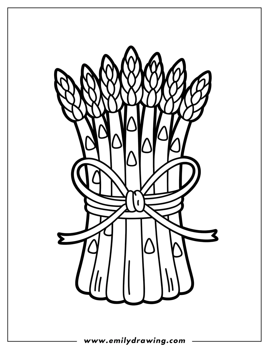 Outline of a bunch of asparagus tied together with string.
