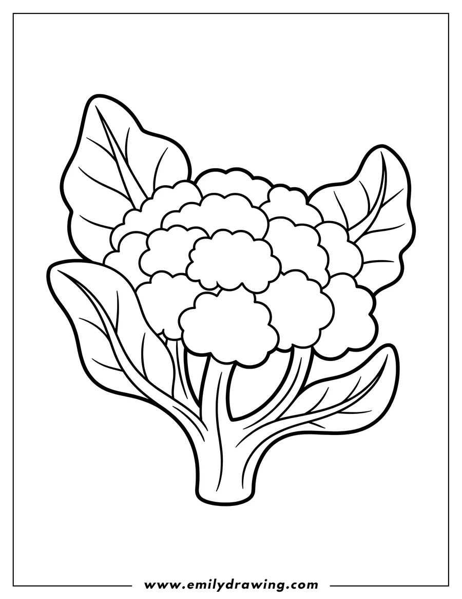 Line art of a head of broccoli with large leaves.