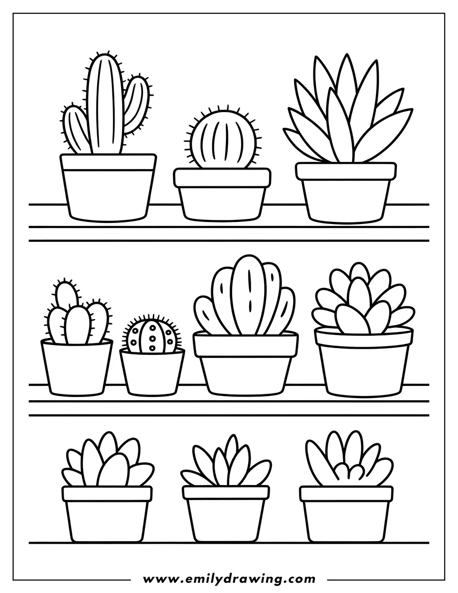 Outline of various cacti and succulents arranged in pots on two shelves.