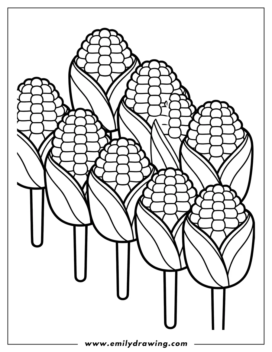 Line art of several corn on the cob lollipops.