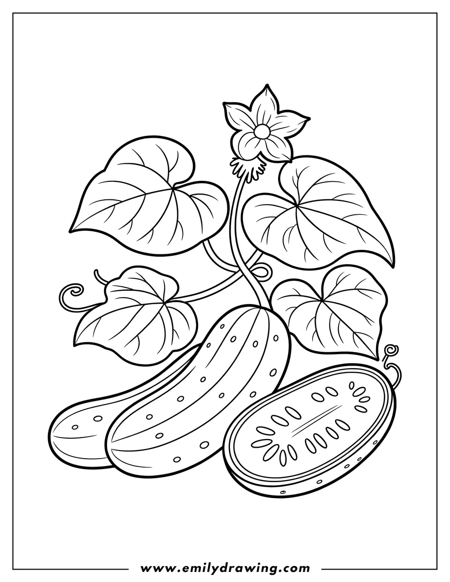Line art of two cucumbers, one whole and one sliced, with leaves and a small flower.
