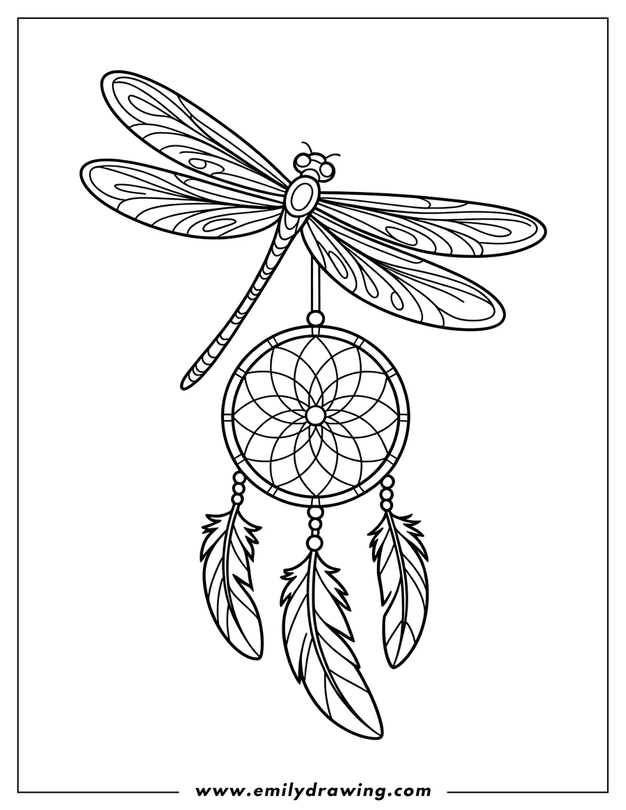 Line art of a dragonfly perched atop a dreamcatcher adorned with feathers.