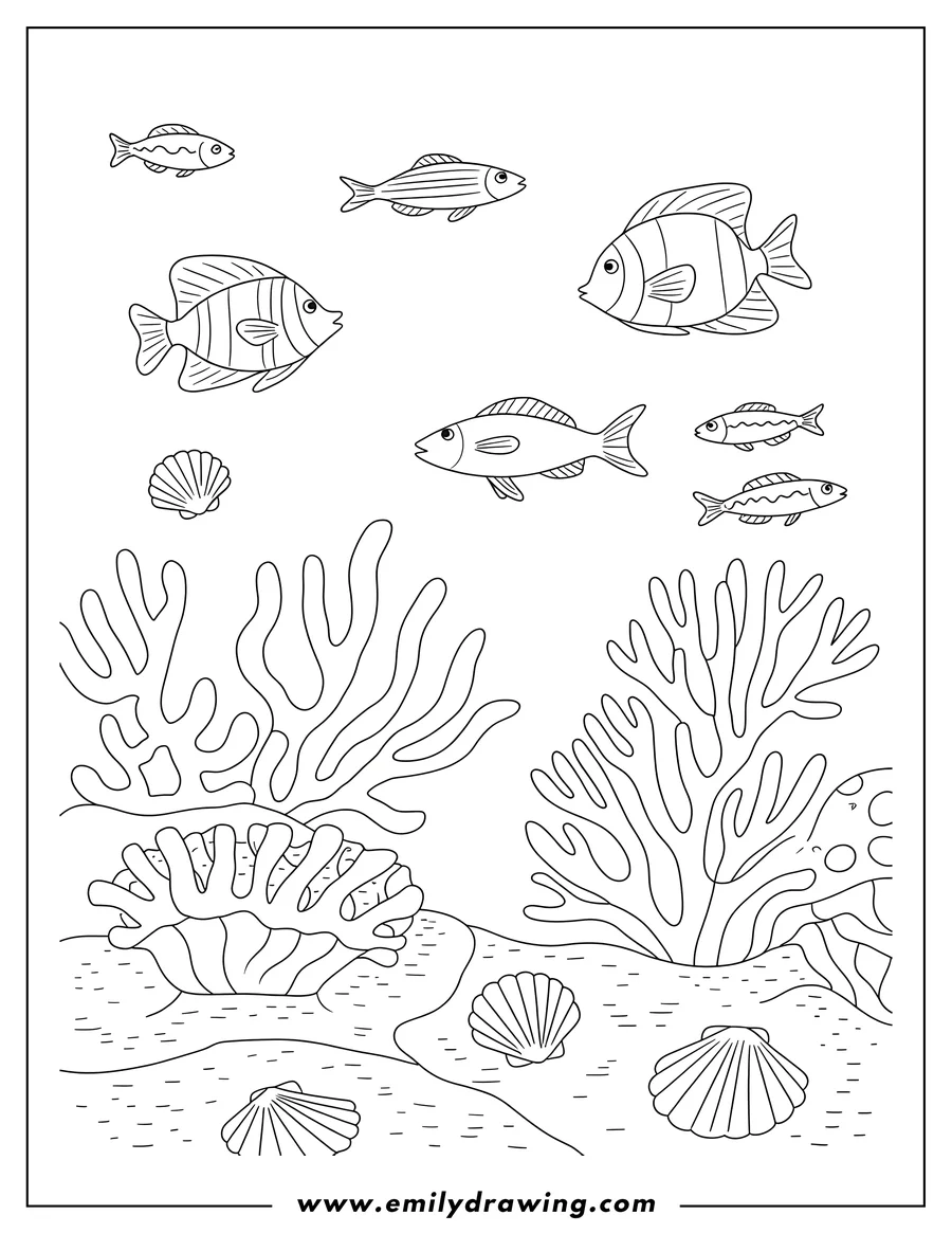 Outline of several fish swimming amongst coral and seashells on the ocean floor.