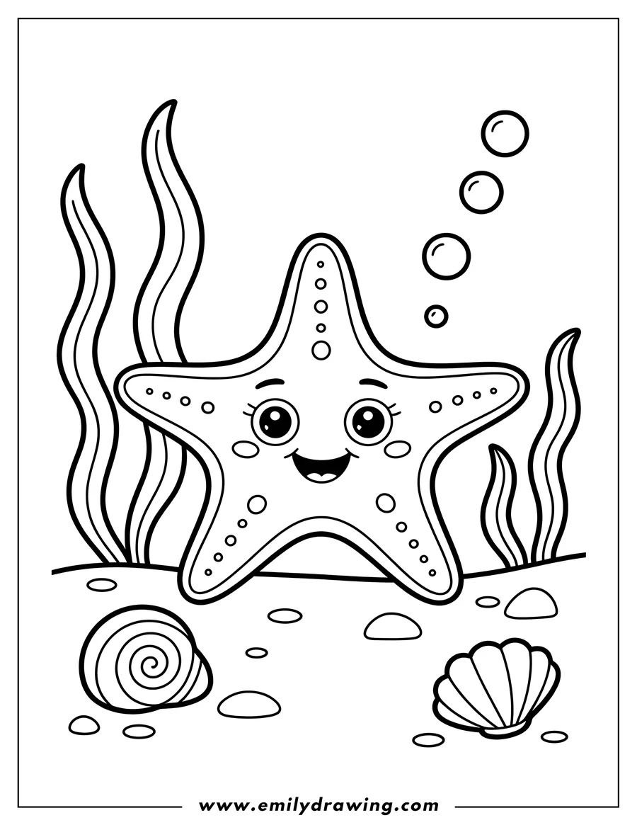 Outline of a smiling starfish on the ocean floor surrounded by seaweed, a spiral shell, and a scallop shell.