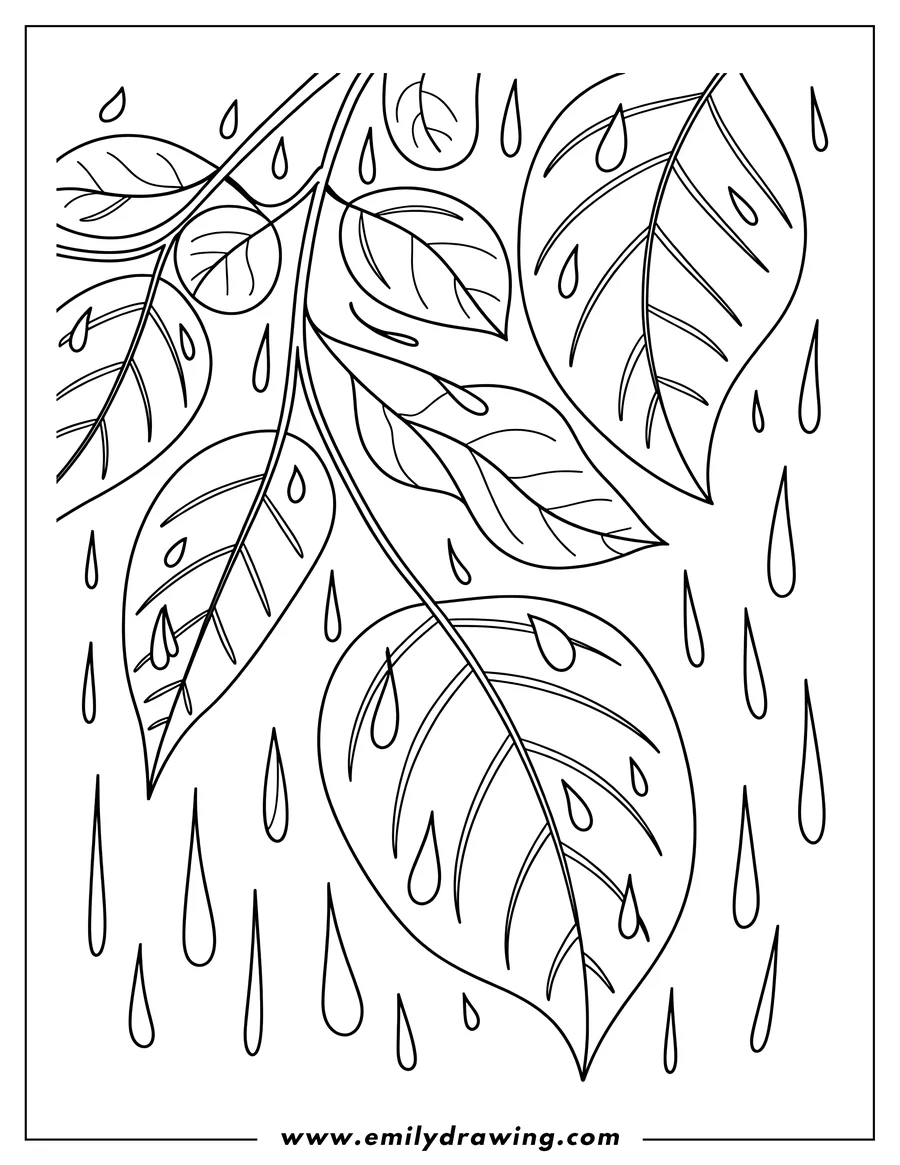 Outline of leaves on a branch with raindrops falling around them.