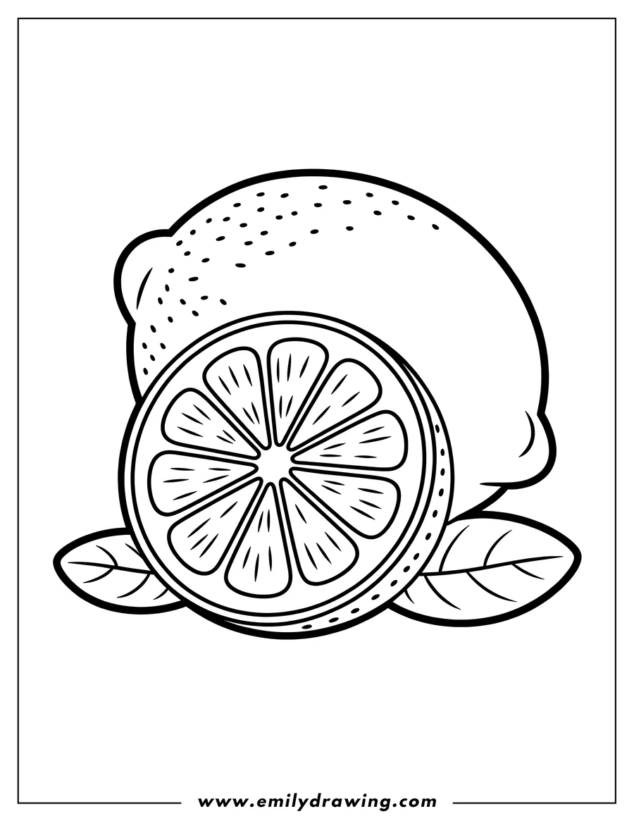 Line art of a whole lemon and a lemon slice with leaves.