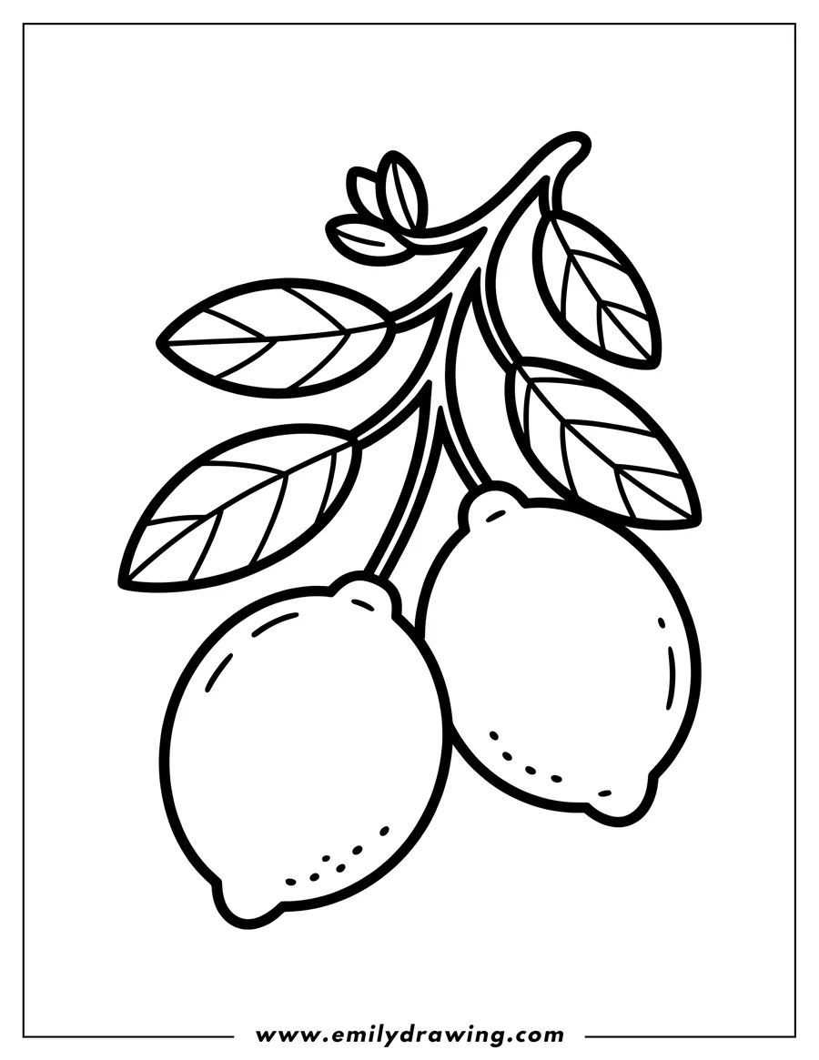 Line art of two lemons hanging from a leafy branch.