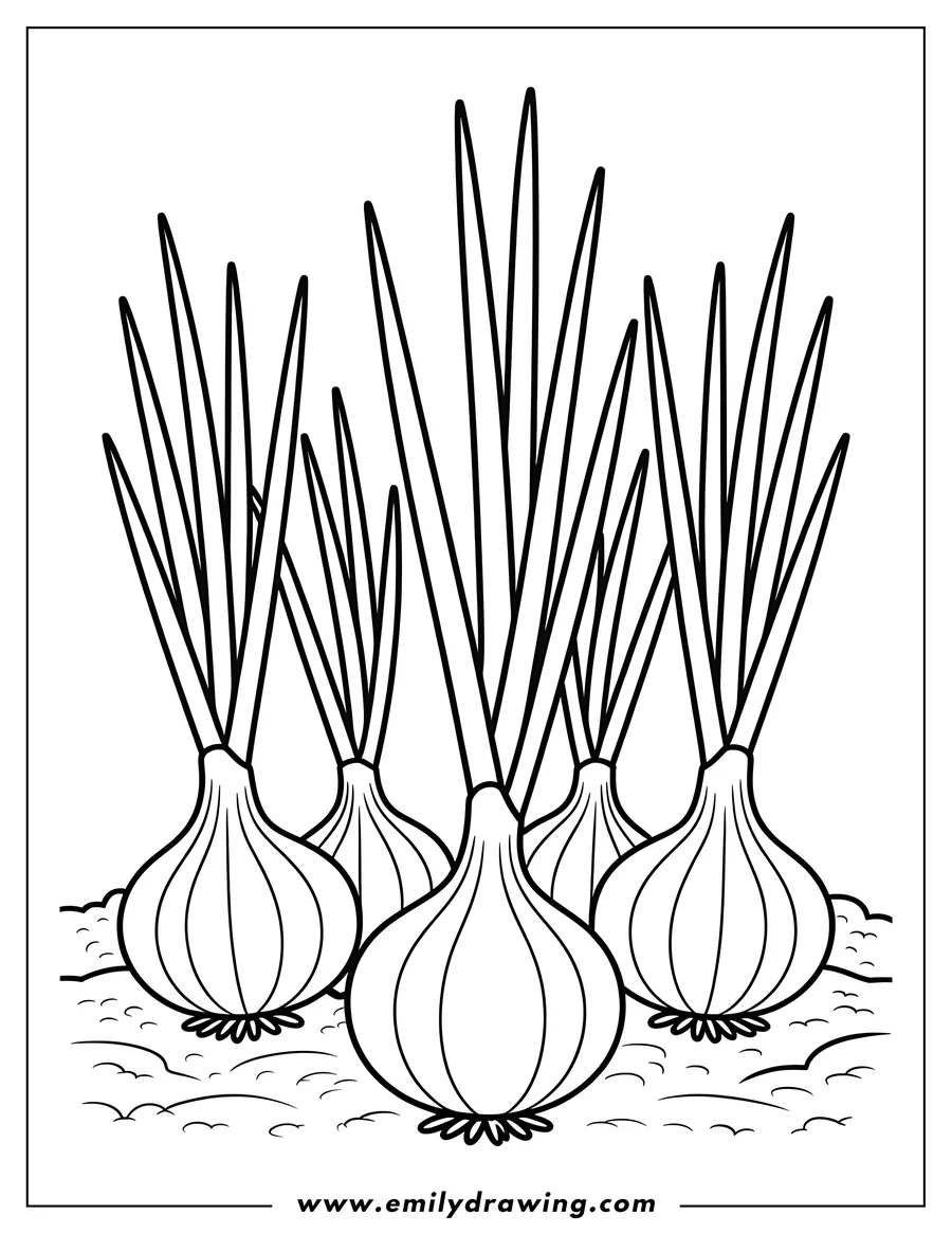 Line art of four onions growing in the ground.  They have tall green stems.