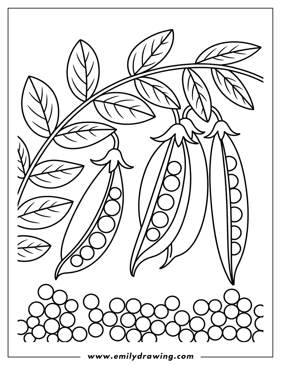 Line art of pea pods with peas inside, and loose peas below. Perfect for a simple and fun coloring activity.