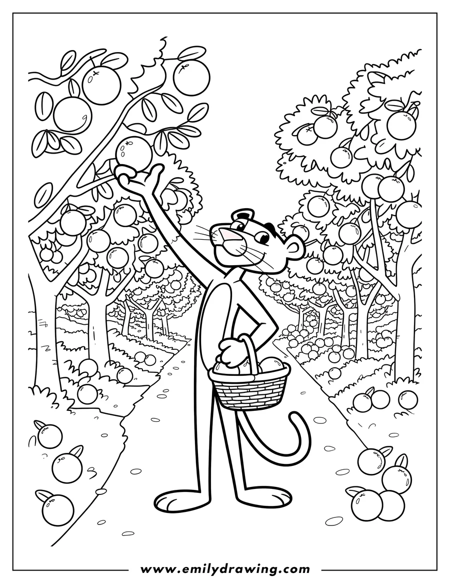 Line art of the Pink Panther picking oranges in an orchard, holding a basket.
