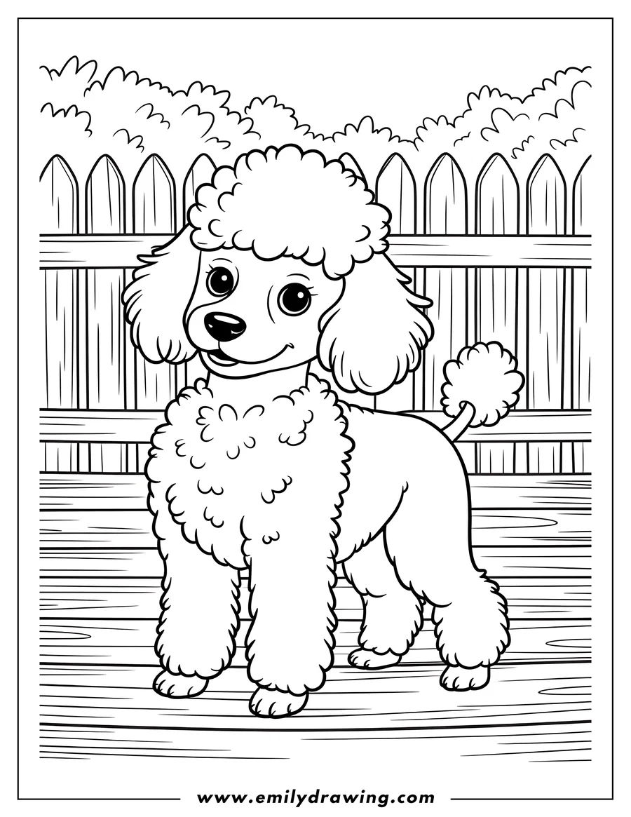 Outline of a fluffy poodle standing on a wooden deck near a fence and some bushes.