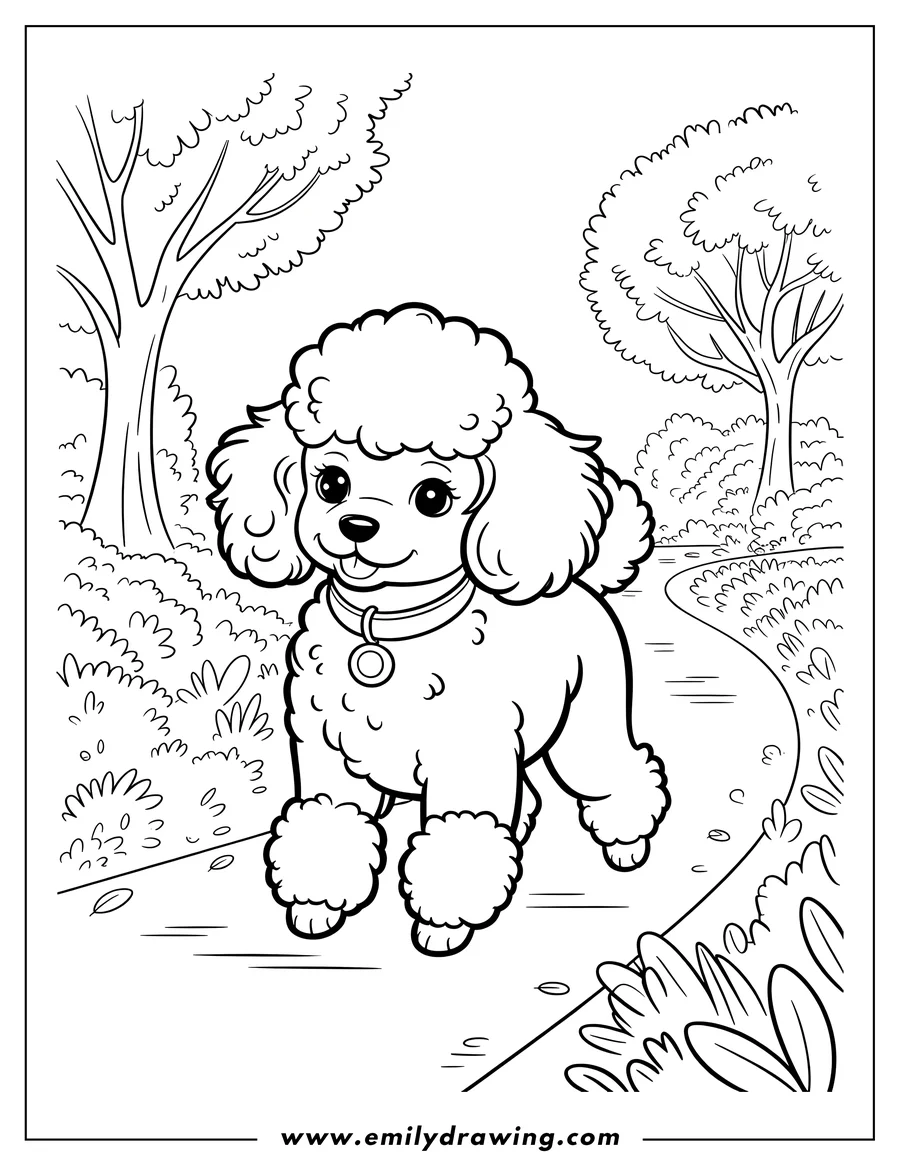 Outline of a poodle walking in a park.  The poodle has fluffy fur and wears a collar with a tag. There are trees, bushes, and a winding path in the background.