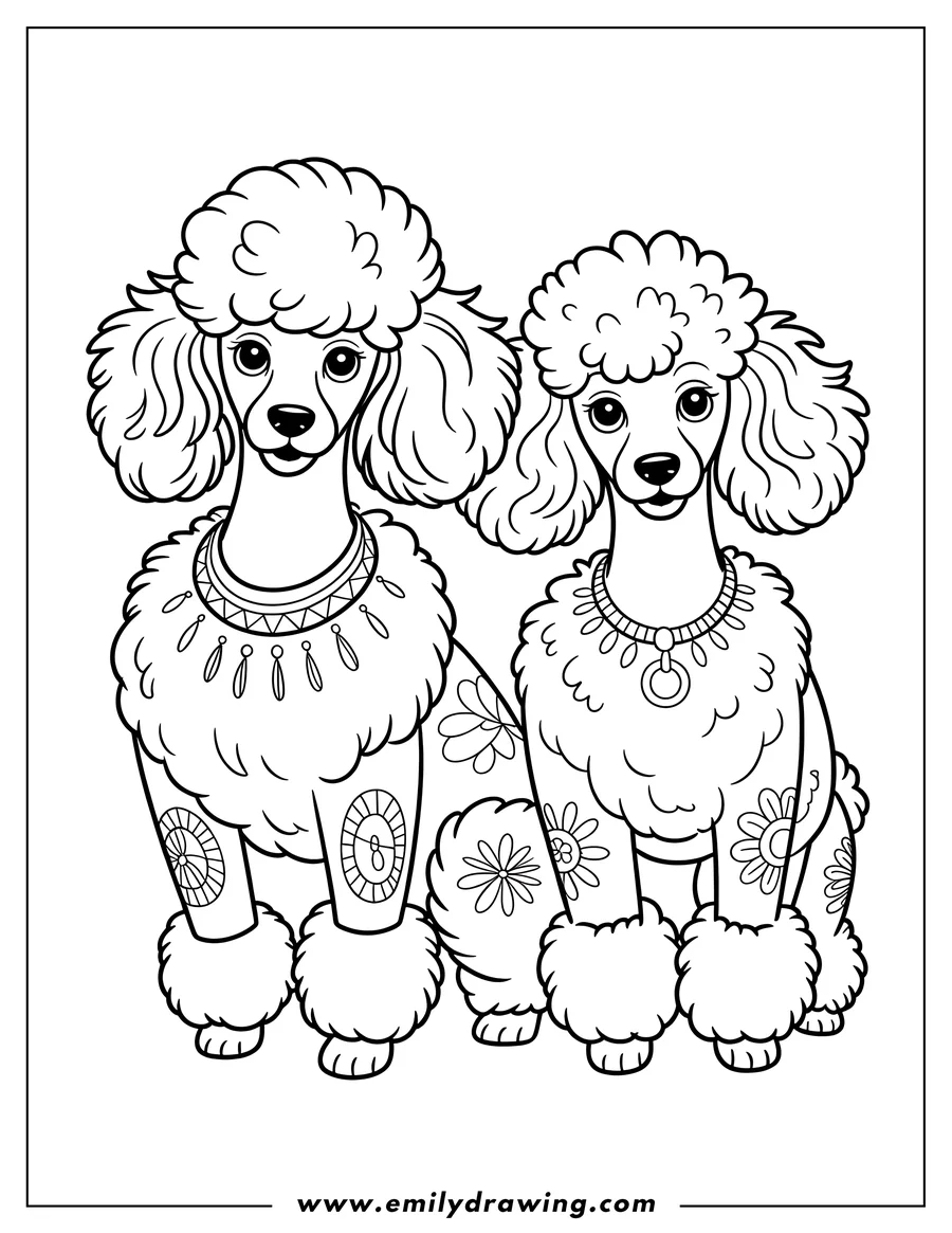 Line art of two poodles with floral decorations and stylish accessories. One poodle wears a necklace, and the other has a tribal-style collar. Their fur is groomed in a fluffy style.