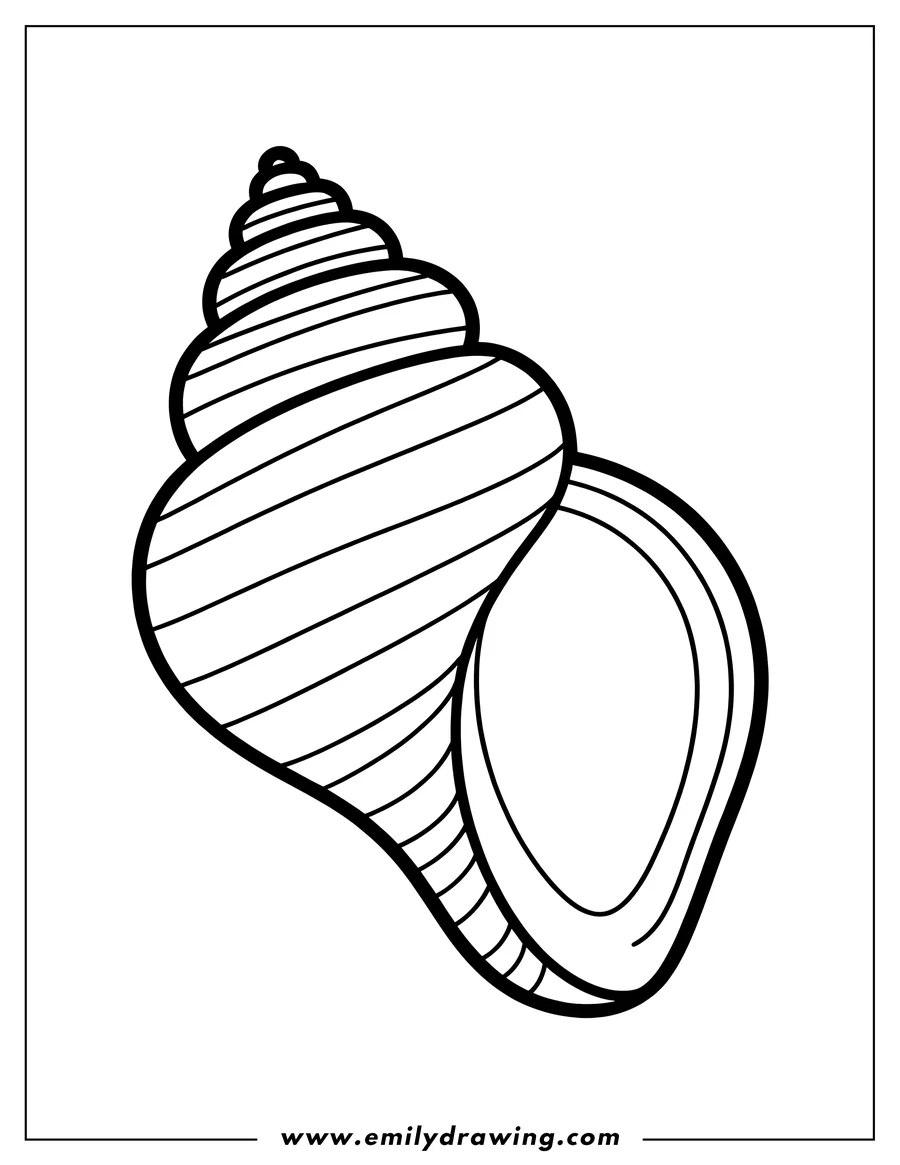Simple outline of a seashell.