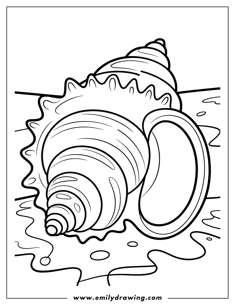 Line art of a seashell resting on a sandy beach.