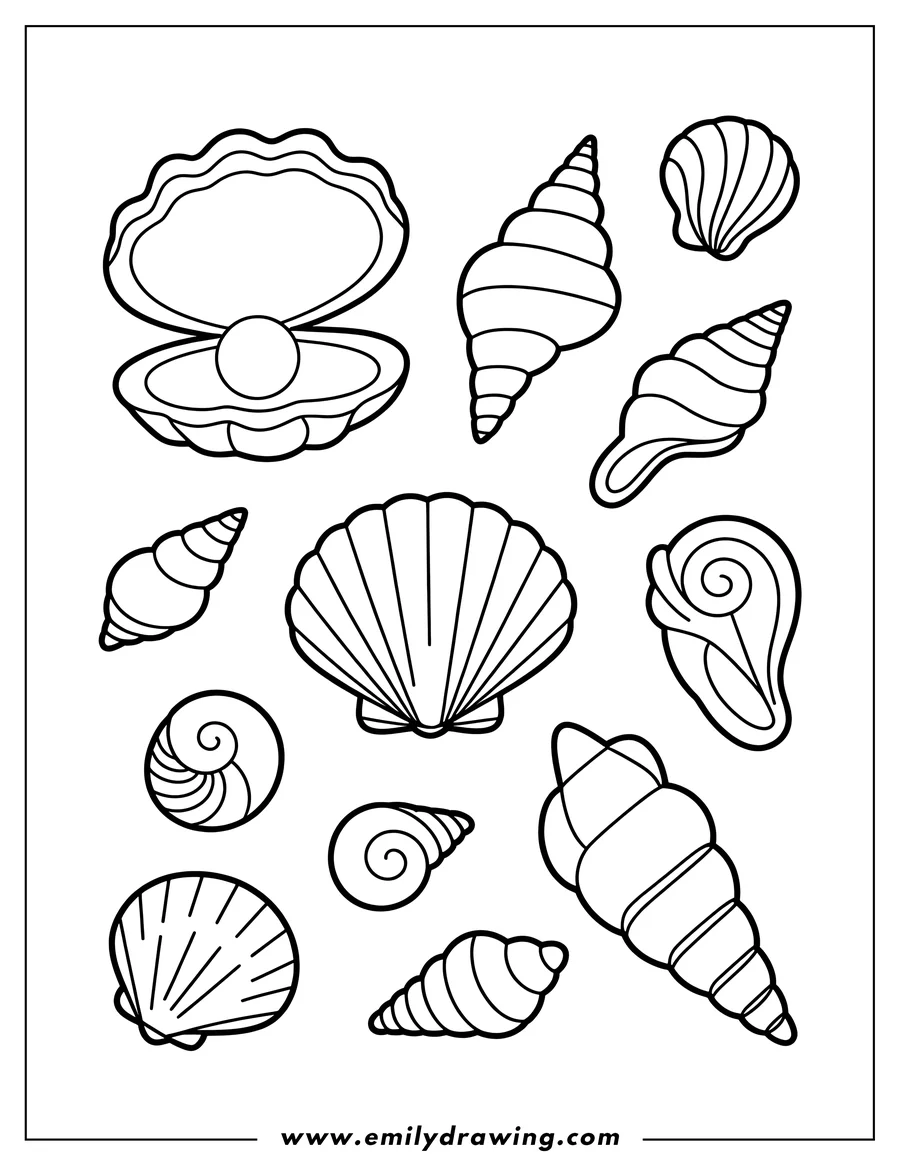 Line art of various seashells and an open clam containing a pearl. Ready to be colored.