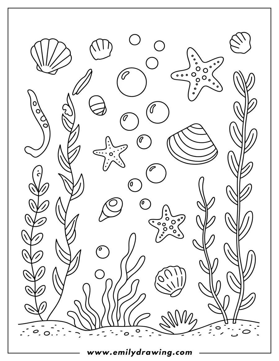 Outline of various seashells, starfish, seaweed, and bubbles on the ocean floor.
