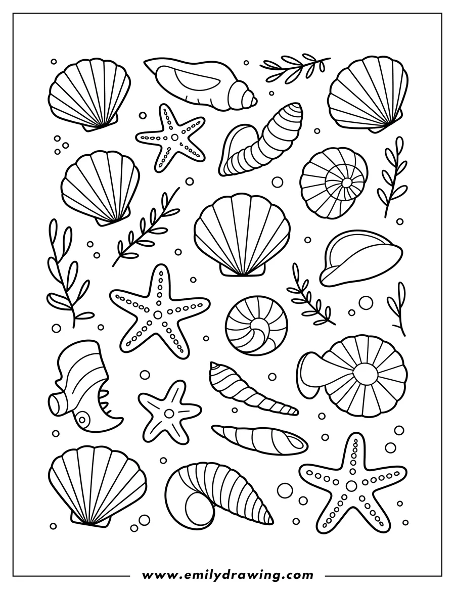 Line art of various seashells and starfish scattered among seaweed sprigs.