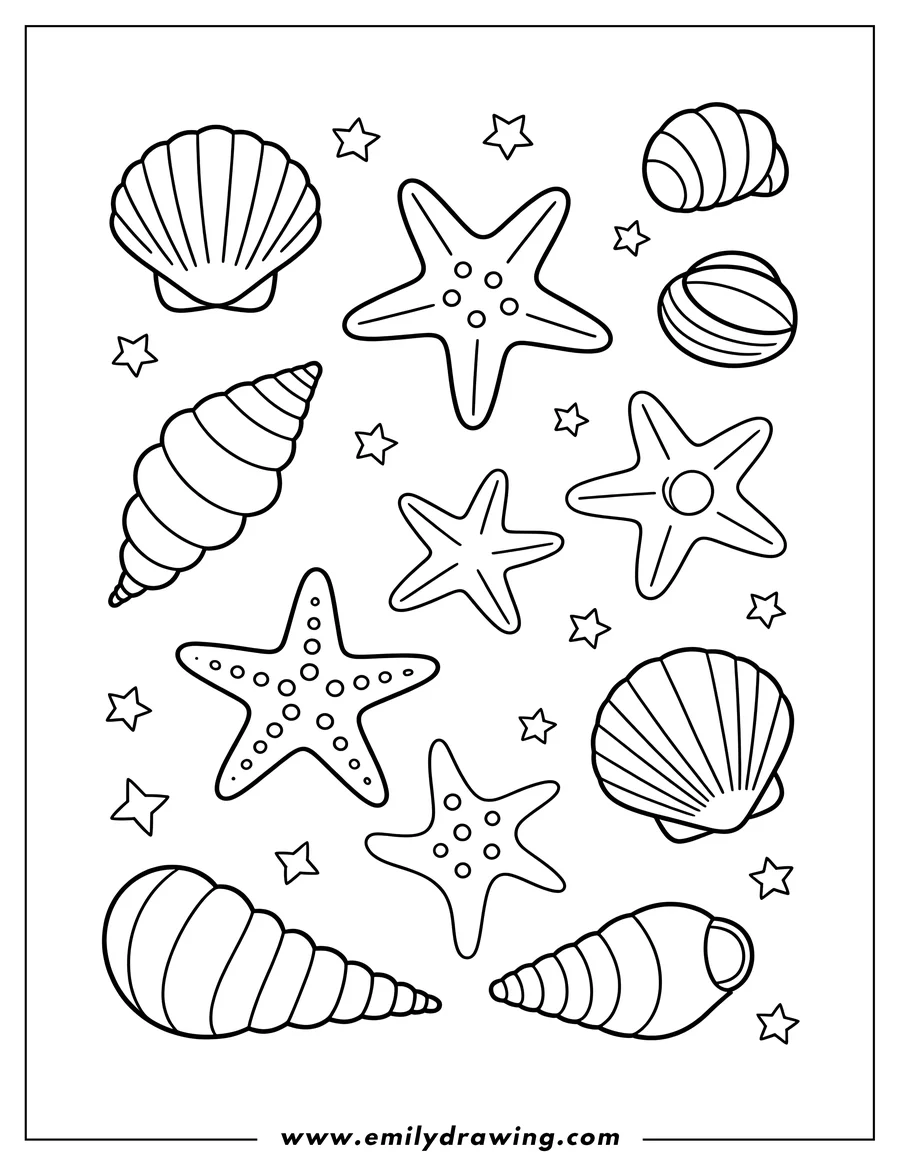Outline of various seashells and starfish scattered among small stars.