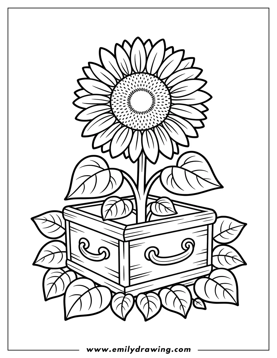 Outline of a sunflower growing in a wooden planter box surrounded by leaves.