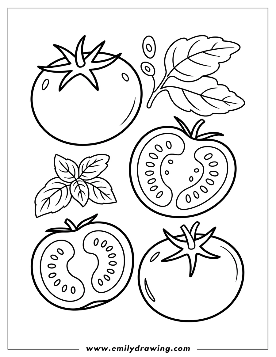 Line art of several tomatoes, whole and sliced, and basil leaves.