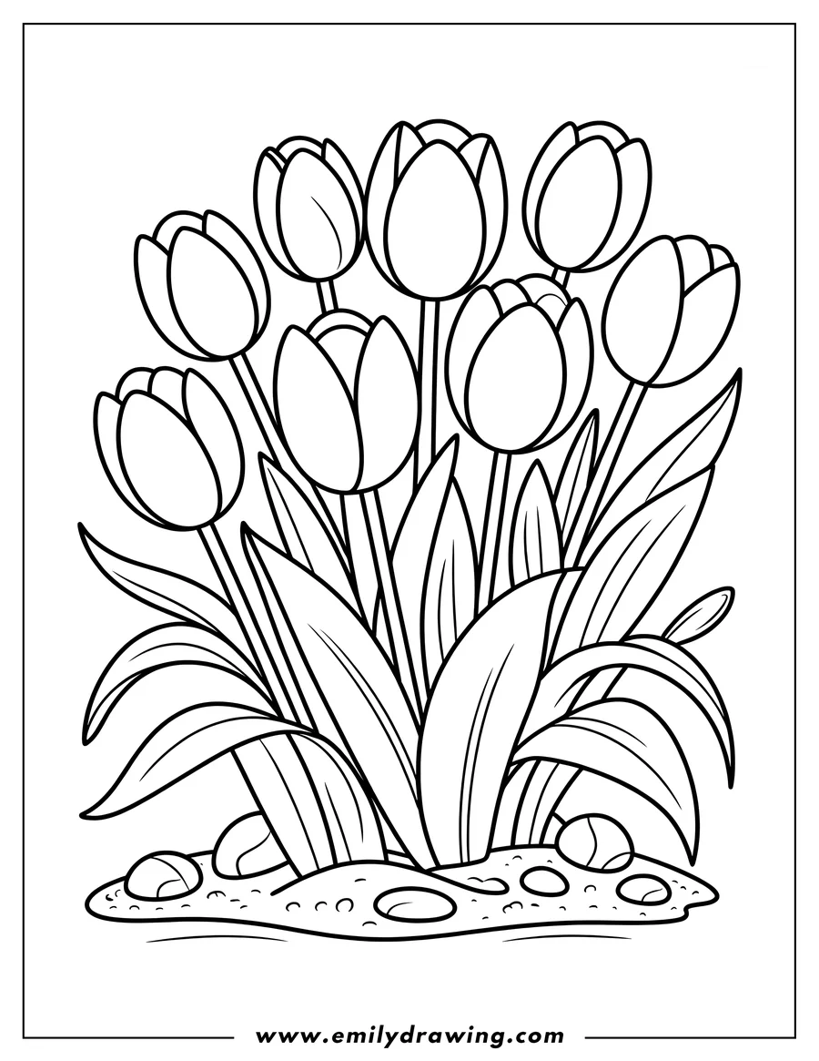 Outline of a bouquet of tulips with long stems and leaves, growing from the ground with small pebbles around the base.