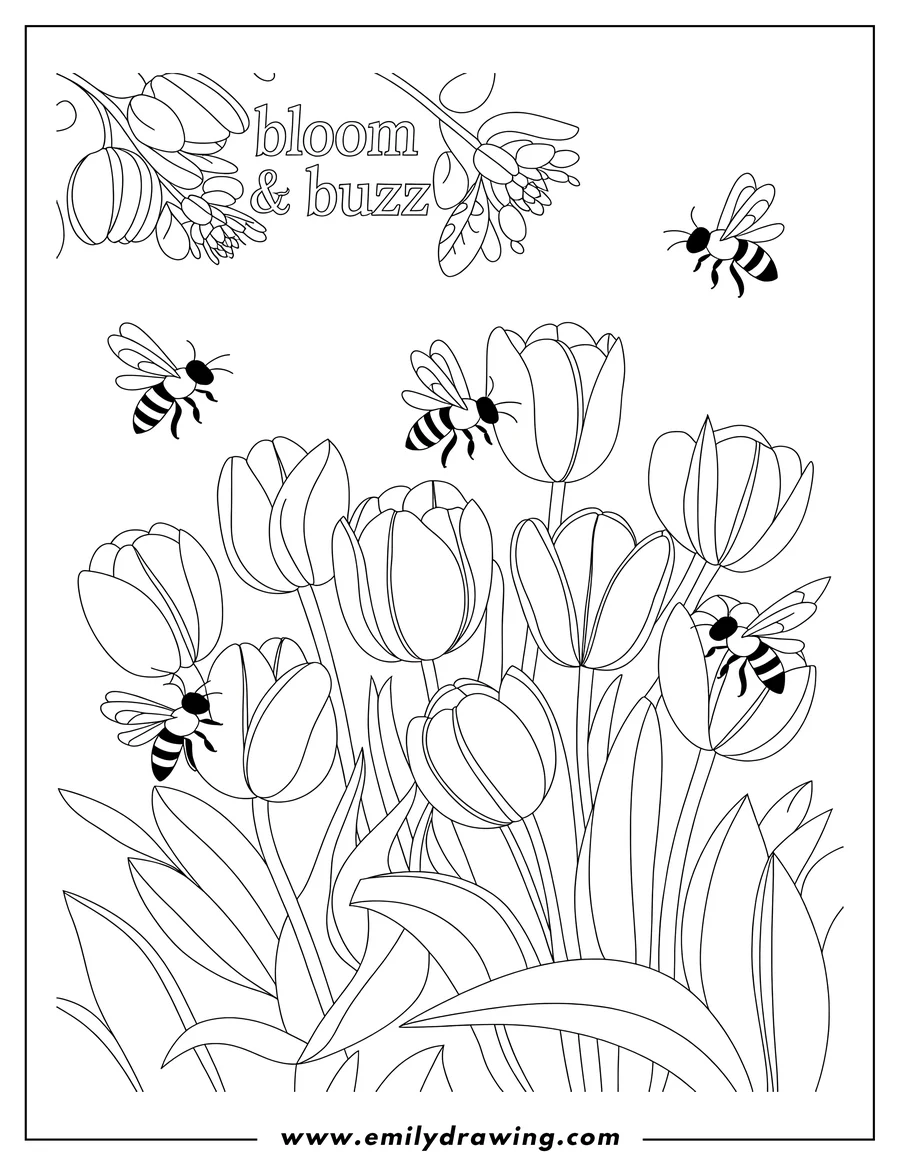 Outline of several tulips and bees. The words bloom and buzz are written at the top of the image.