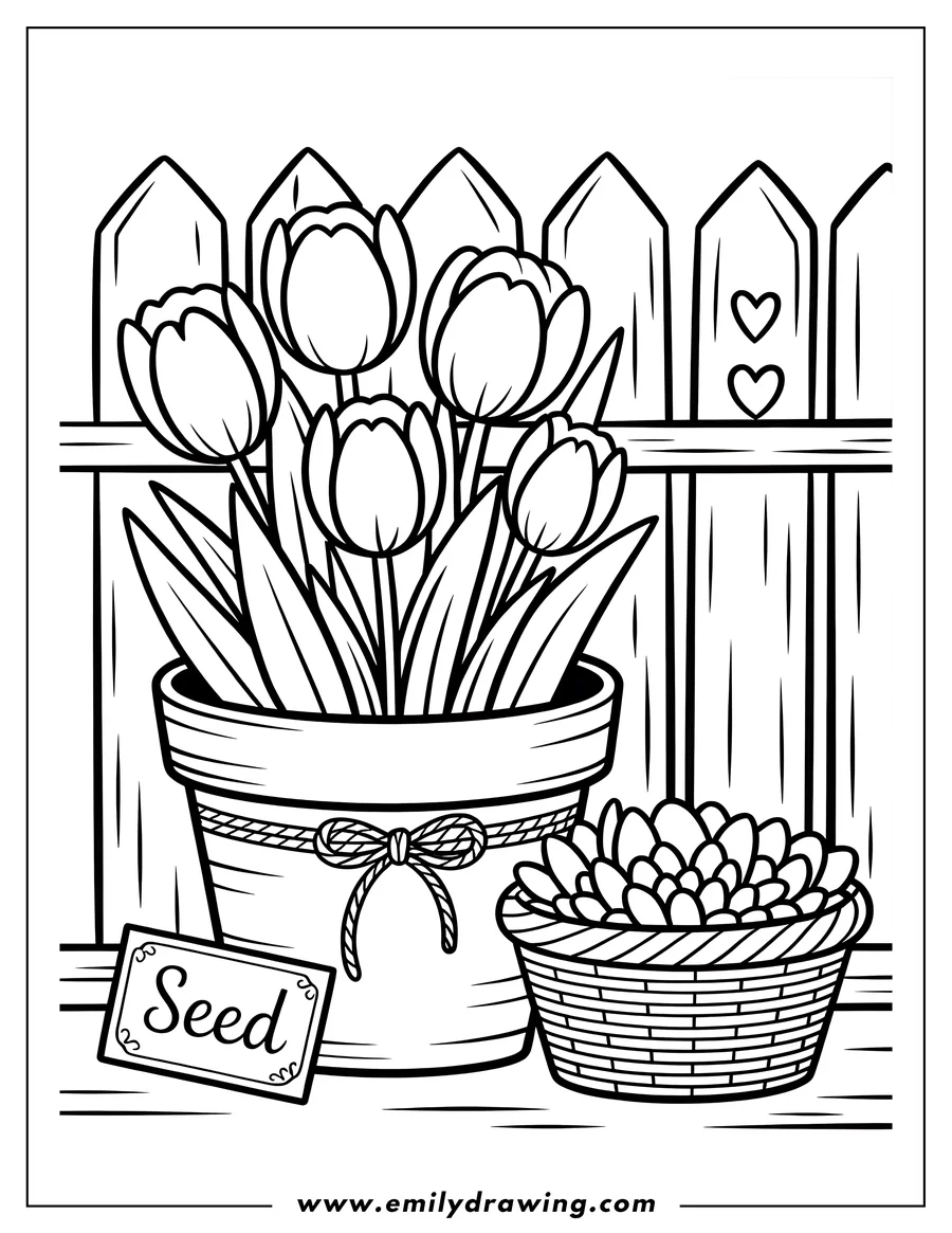 Outline of tulips in a pot with a seed label, a basket of succulents, and a wooden fence with hearts.