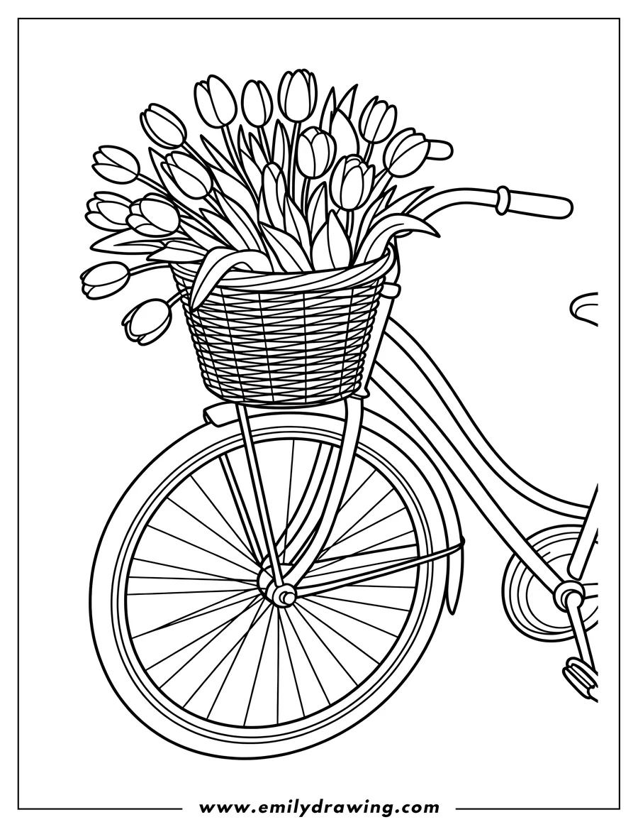 Outline of a bicycle with a basket full of tulips.
