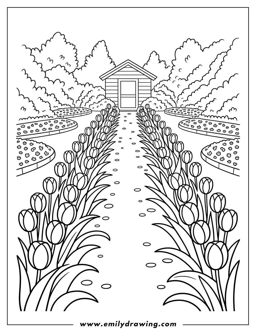 Outline of tulips lining a path in a garden, leading to a small shed. Other flower beds are visible on either side.