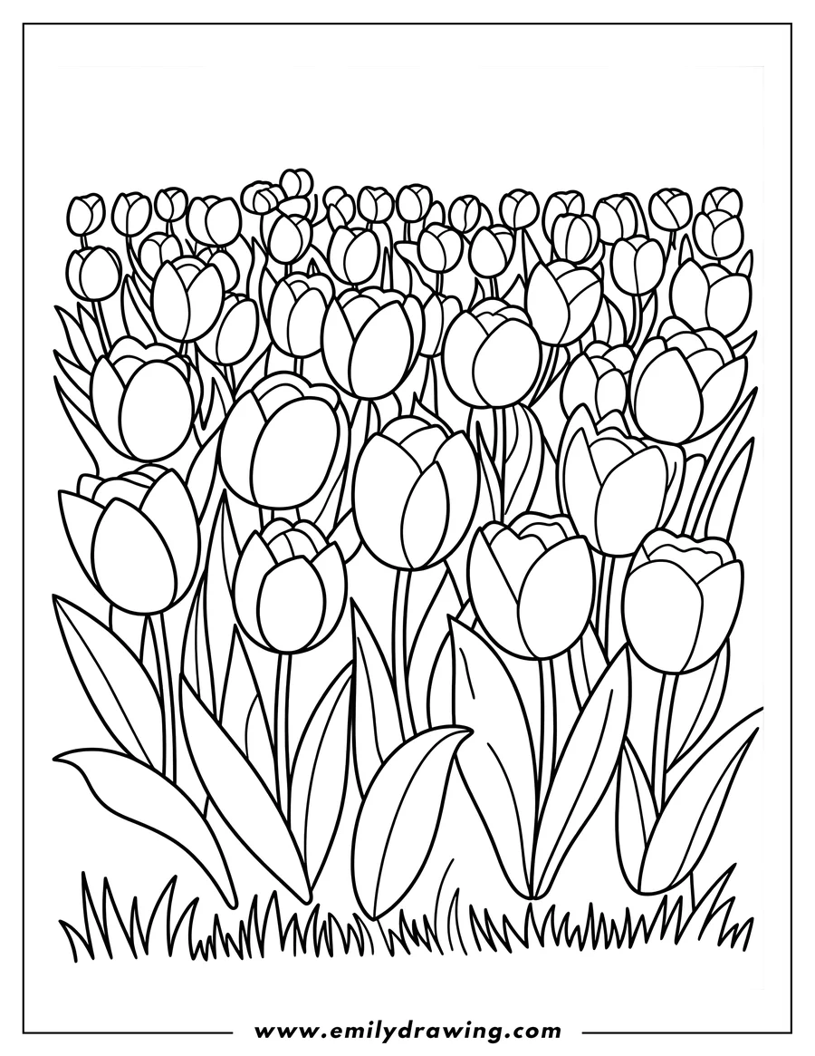 Outline of several tulips growing in grass
