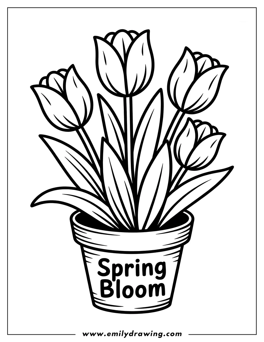 Outline of tulips in a flower pot. The pot has the words 'Spring Bloom' written on it.
