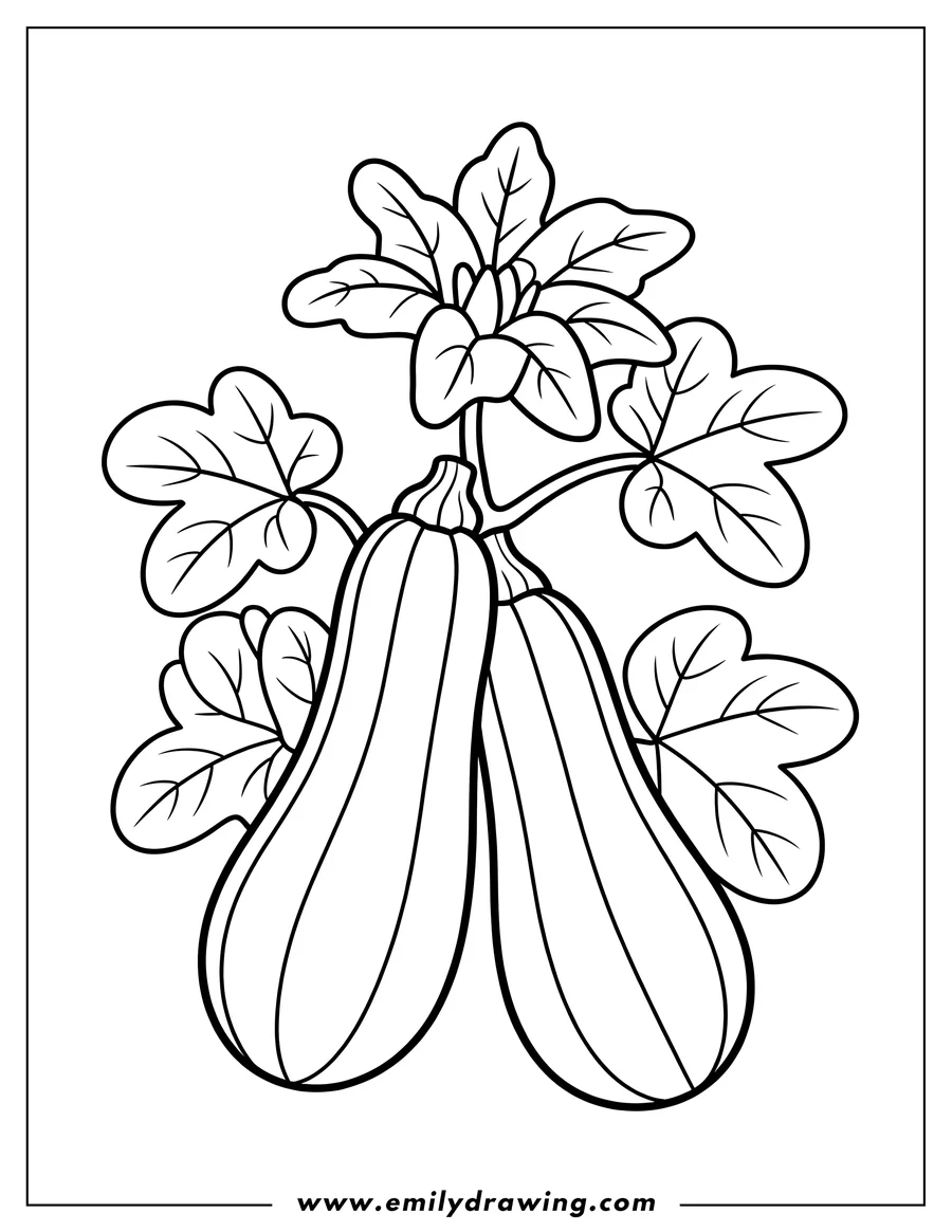 Line art of two zucchini on the vine with leaves and a flower.