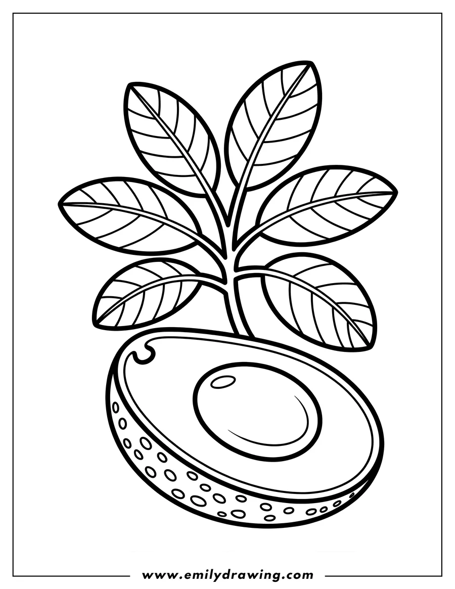 Outline of a halved avocado showing the large central pit, positioned beneath a small branch of five detailed leaves, suggesting growth or presentation.